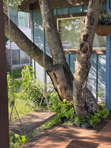 True North Retreat-open concept, newly remodeled, backyard with fire pit