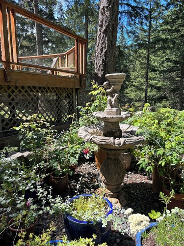 Garden cottage