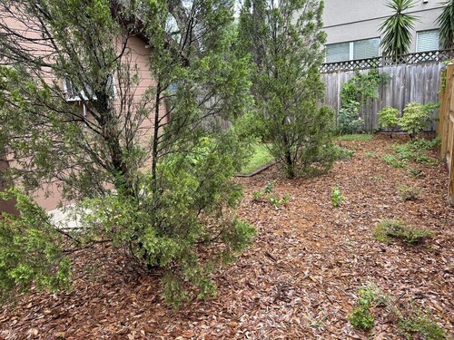 Modern Comfort: Mills/50 Hideaway