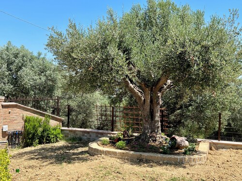 Villa Angela