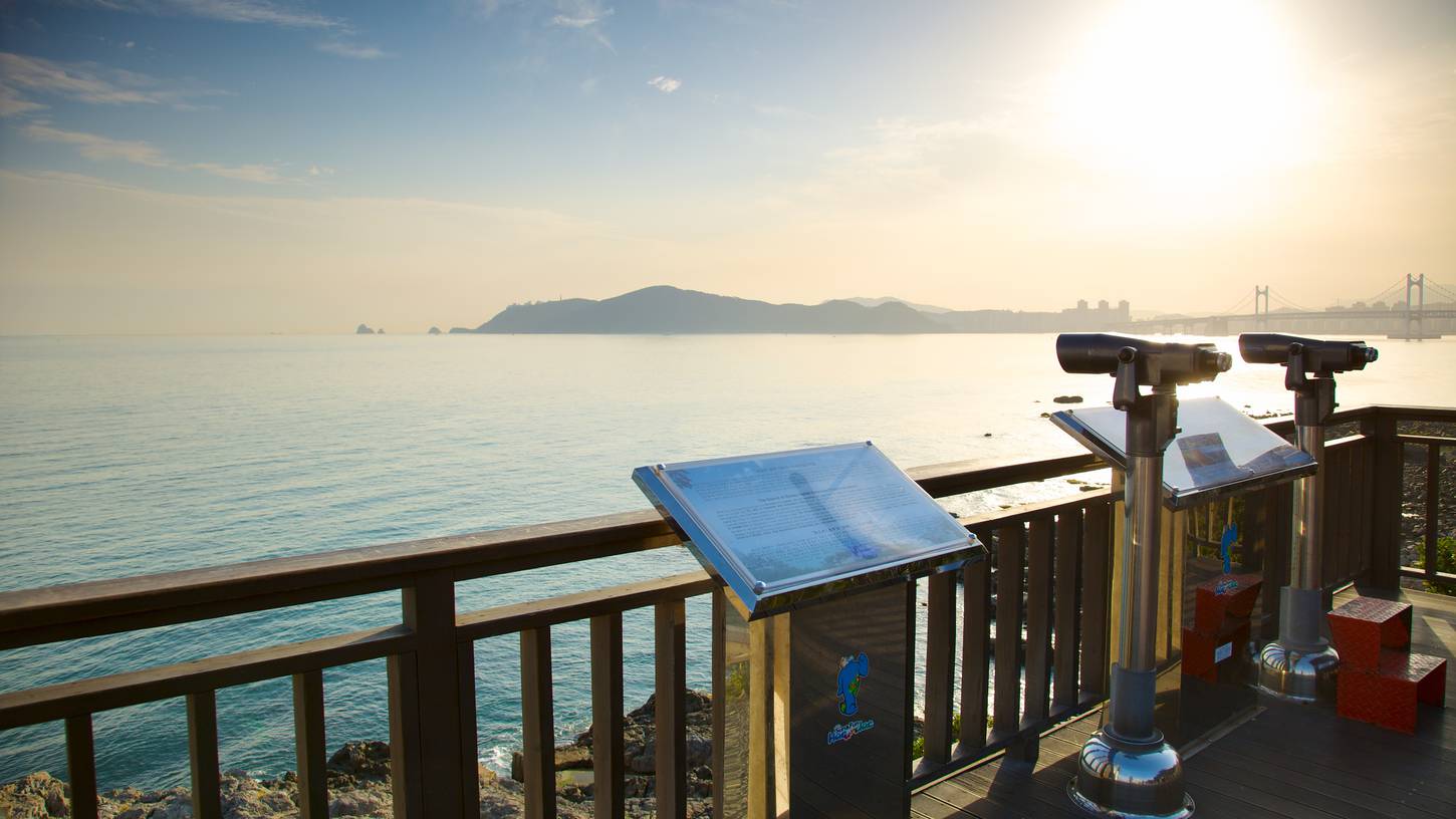 travel packages rental travel packages rental