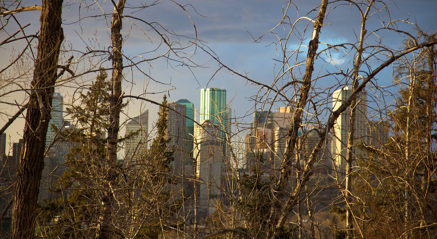 vol destination alberta