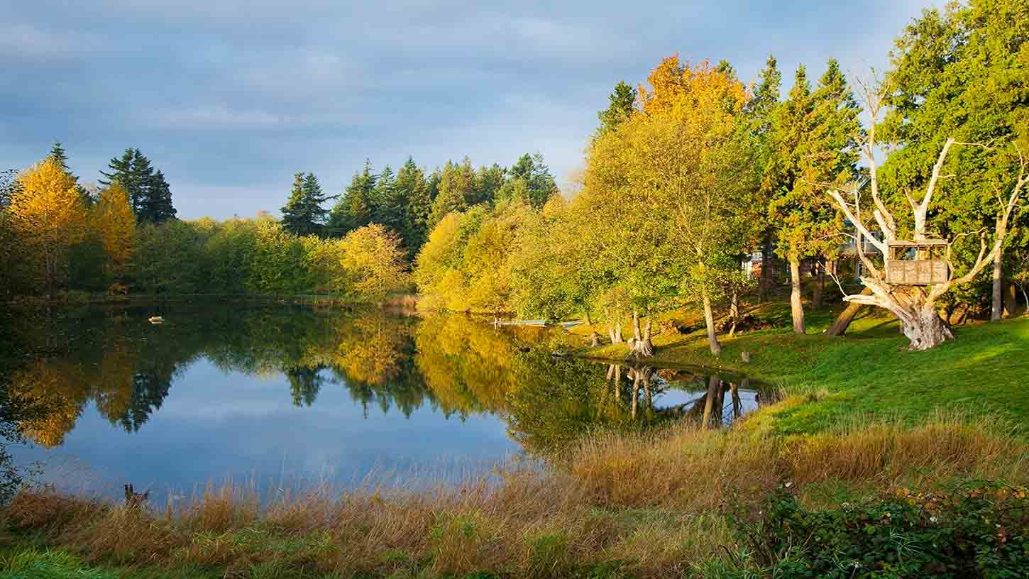 Top 10 Pullman Hotels in Washington $95 | Cheap Hotels on Expedia Top 10 Pullman Hotels in Washington $95 | Cheap Hotels on Expedia