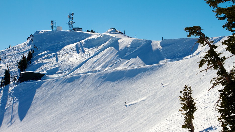 Alpine Meadows Ski Resort in Lake Tahoe, California Expedia