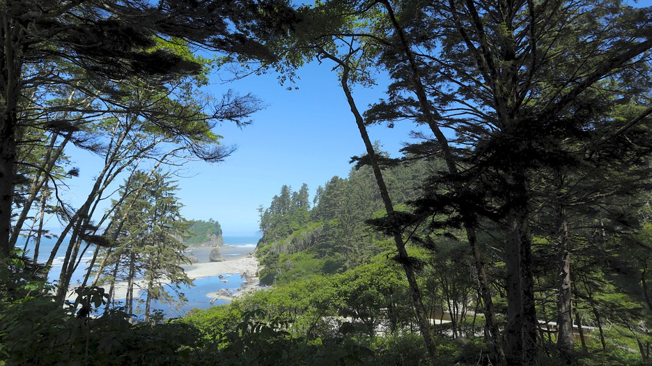 Ruby Beach in Forks, Washington Expedia