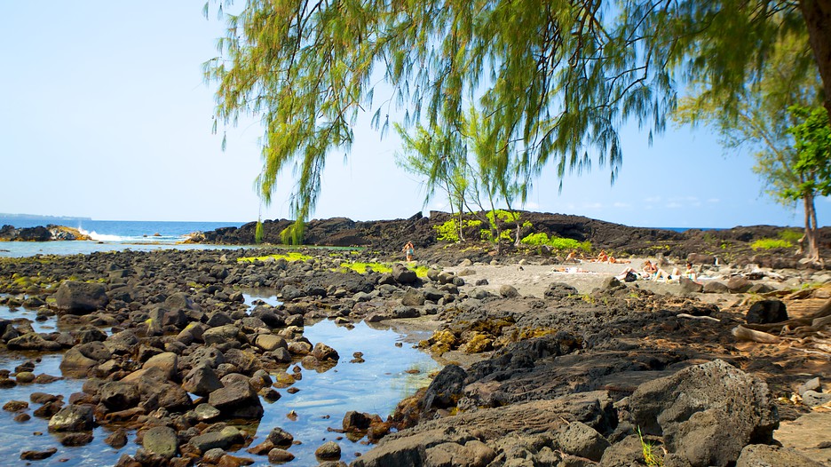 Richardson's Ocean Park in Hilo, Hawaii Expedia