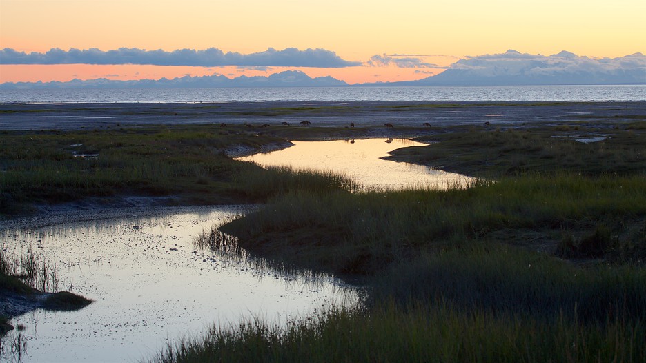 Best alaska travel deals