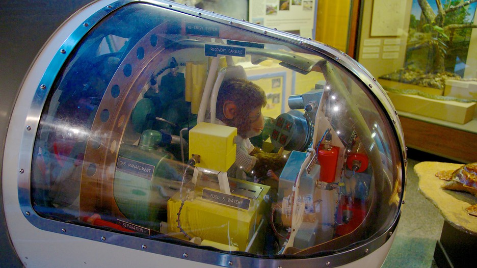 Fernbank Science Center in Atlanta, Expedia