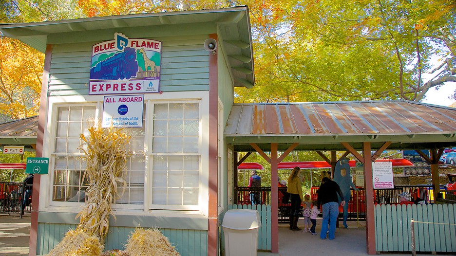 Zoo atlanta coupons library