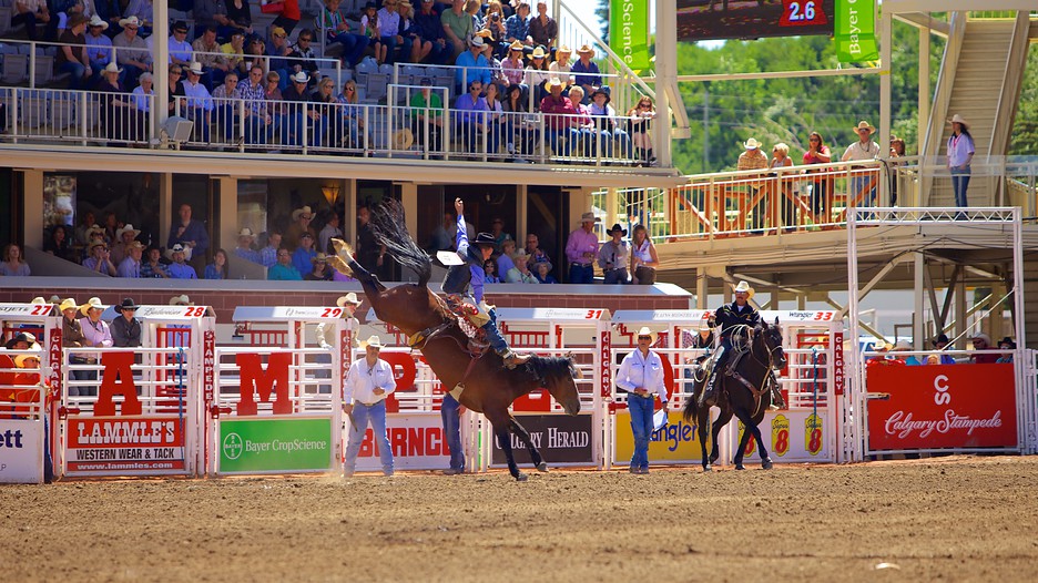 Vegas weekend deals from calgary