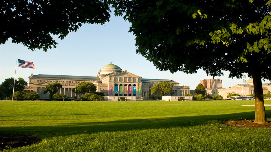 Field Museum of Natural History in Chicago, Illinois Expedia