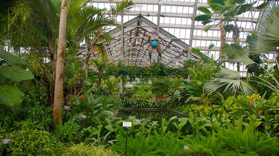 Garfield Park Conservatory in Chicago, Illinois Expedia