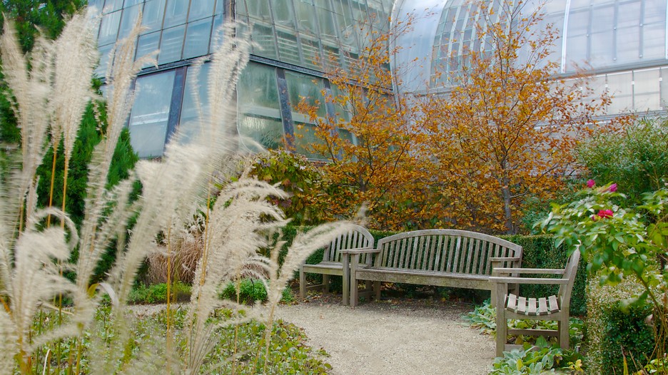 Garfield Park Conservatory in Chicago, Illinois Expedia