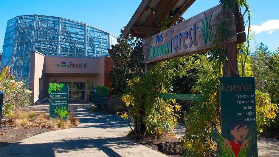 Cincinnati travel deals The Cincinnati Zoo's three million twinkling lights, themed areas and seasonal entertainment will brighten up your holidays. Package includes your choice of hotel accommodations. The Cincinnati Zoo's three million twinkling lights, themed areas and seasonal entertainment will brighten up your holidays.