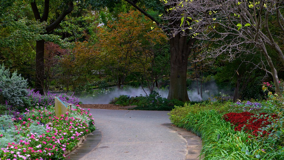 Dallas Arboretum and Botanical Garden in Dallas, Texas Expedia