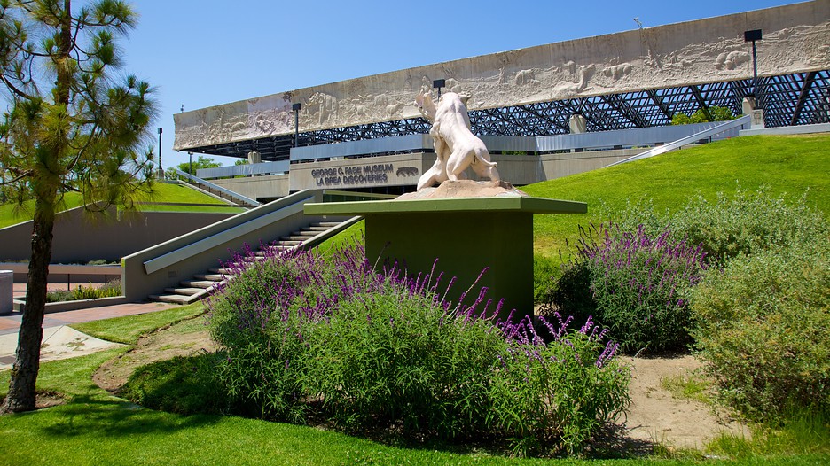 La Brea Tar Pits in Los Angeles, California Expedia.ca