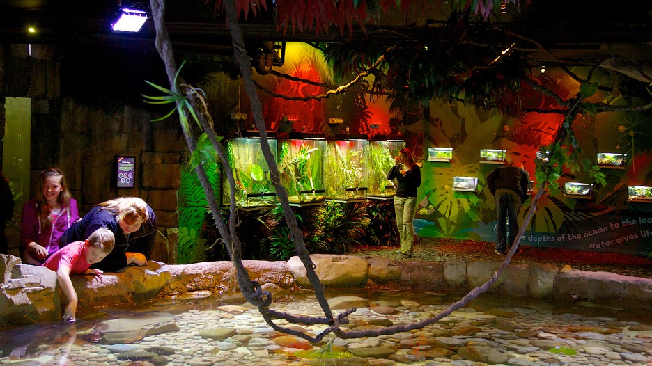 Melbourne Aquarium in Melbourne, Victoria Expedia