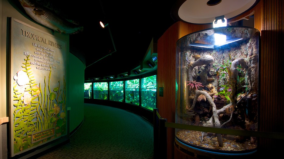 Nashville Zoo in Nashville, Tennessee Expedia