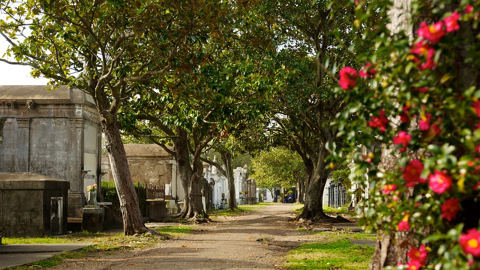 car rental in falmouth ma