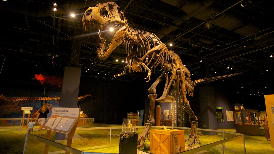 Orlando Science Center in Orlando, Florida Expedia