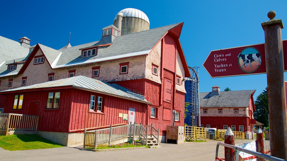 Expedia canada last minute deals Finding a hotel with Expedia is easy. Our simple to use search function lets you see availability for your preferred travel dates in your chosen destination and select the best deals.