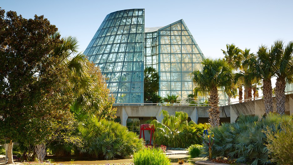 San Antonio Botanical Gardens in San Antonio, Texas Expedia
