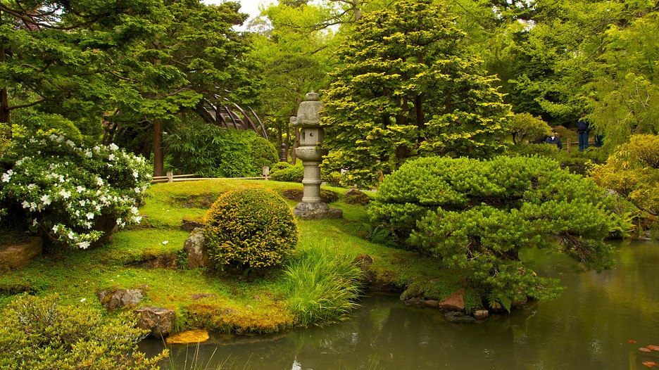 Image Result For Japanese Tea Garden San Francisco Image Result For Japanese Tea Garden San Francisco