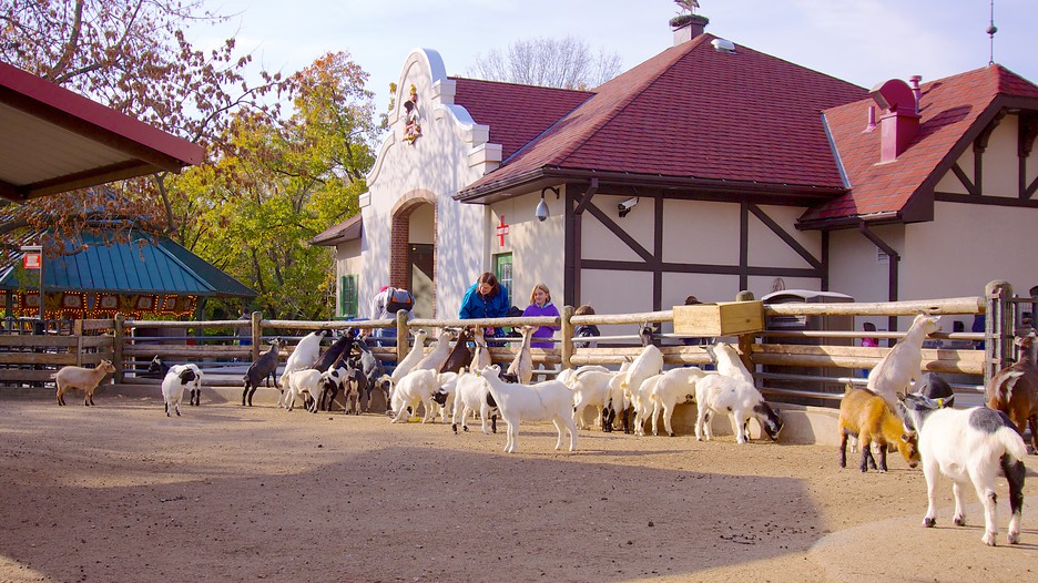 Grants Farm in St. Louis, Missouri Expedia