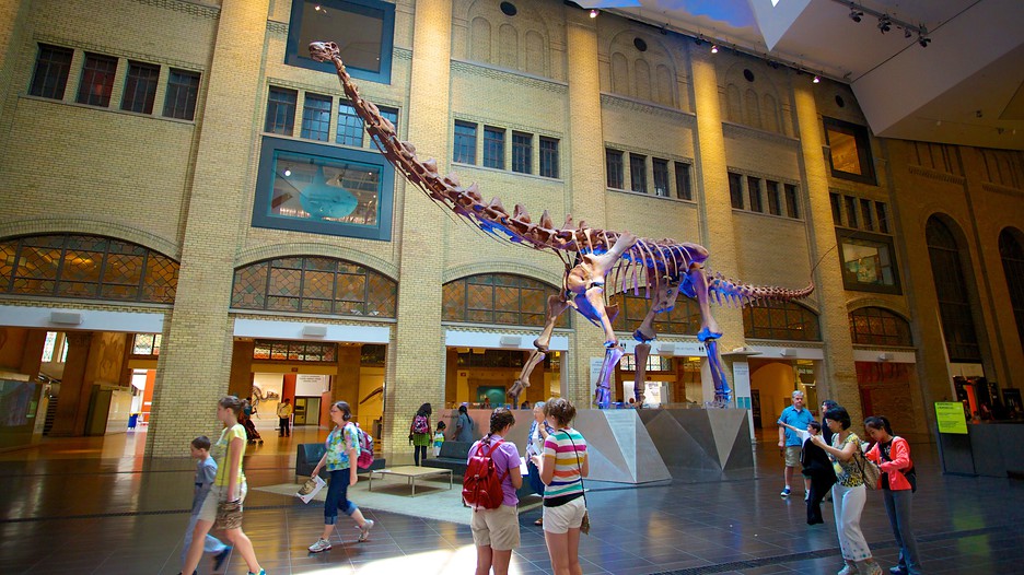 Royal Ontario Museum in Toronto Ontario Expedia ca Royal Ontario Museum in Toronto Ontario Expedia ca