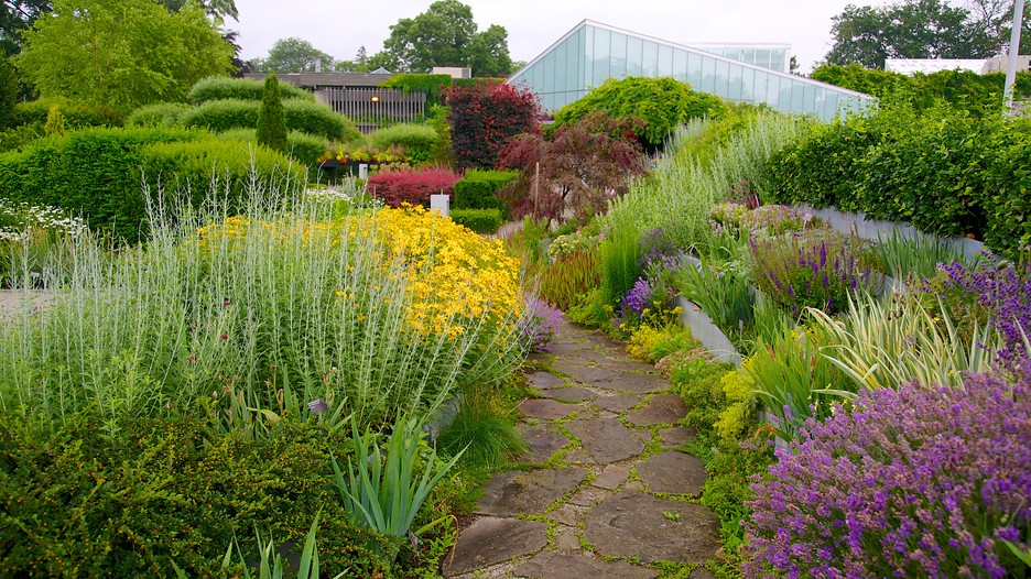 primary planting guidelines pleasing outdoor designs