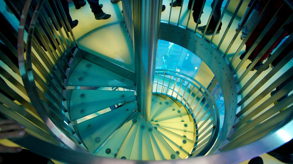 Aquadom in Berlin, | Expedia