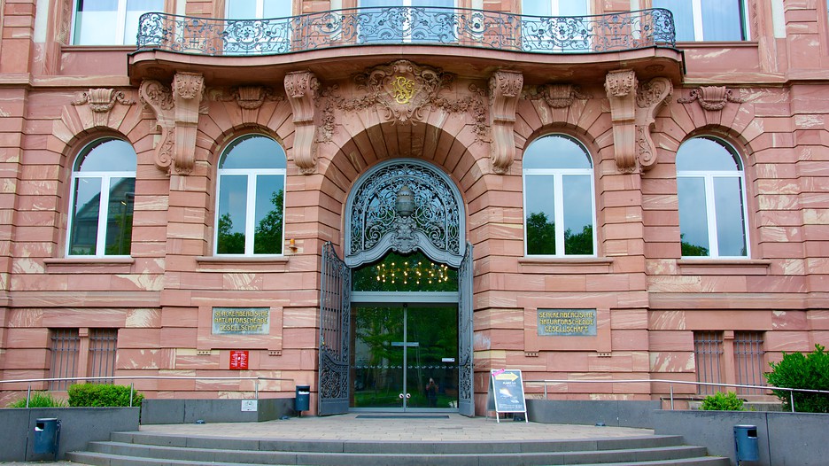 Senckenberg Museum in Frankfurt, Expedia