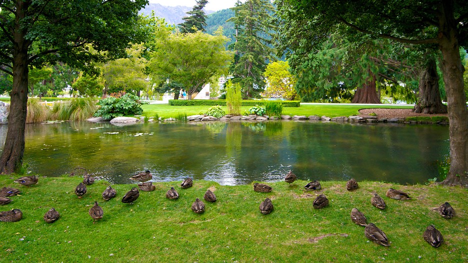 Queenstown Gardens in Queenstown, Expedia