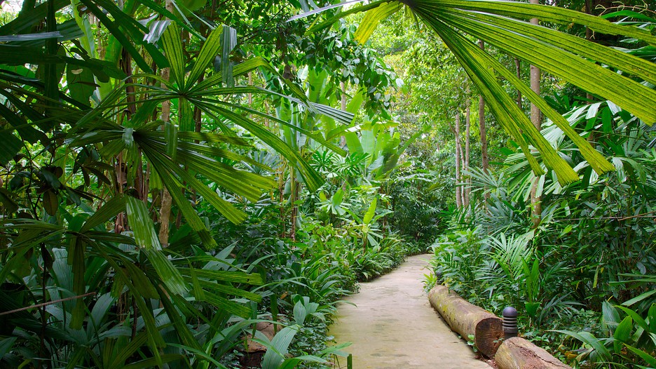 Bukit Timah Nature Reserve - Singapore, Attraction | Expedia.com.au
