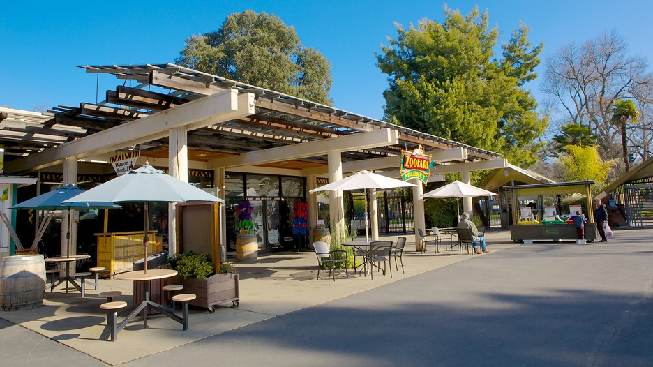 Sacramento Zoo in Sacramento, California Expedia