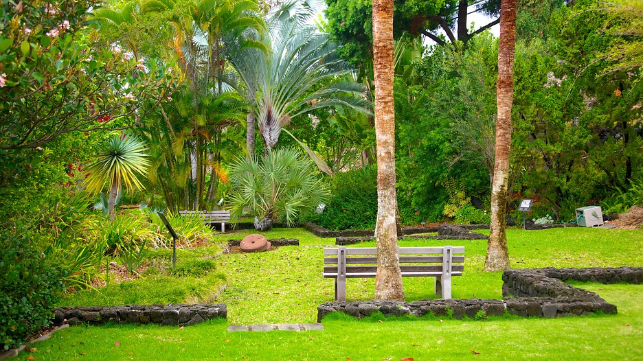 sadie seymour botanical garden in kailua kona hawaii expedia sadie seymour botanical garden in kailua kona hawaii expedia