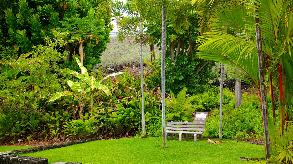 sadie seymour botanical garden in kailua kona hawaii expedia sadie seymour botanical garden in kailua kona hawaii expedia