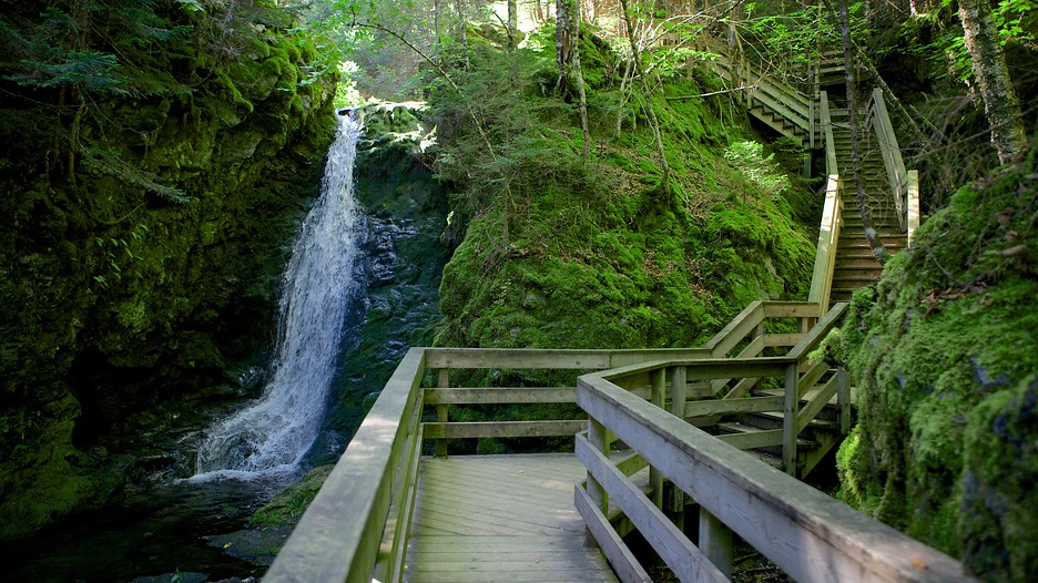 Fundy National Park in Alma, New Brunswick Expedia.ca