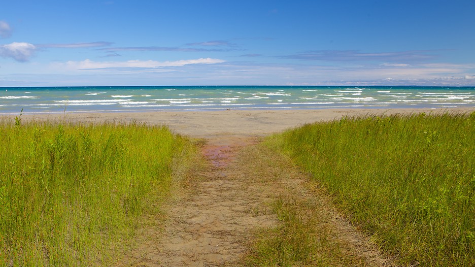 Easy Access Search hundreds of travel sites at once for car rental deals in Ontario