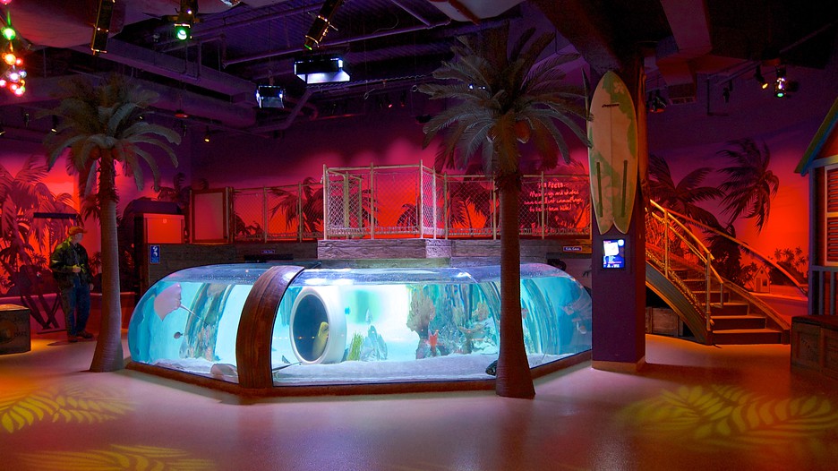Sea Life Aquarium in Kansas City, Missouri Expedia