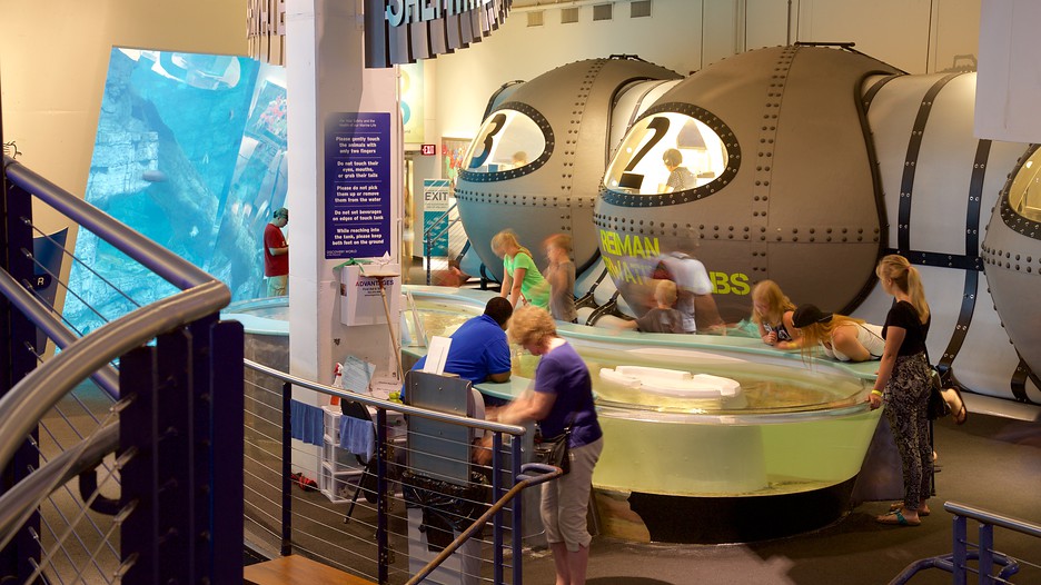 Discovery World in Milwaukee, Wisconsin Expedia