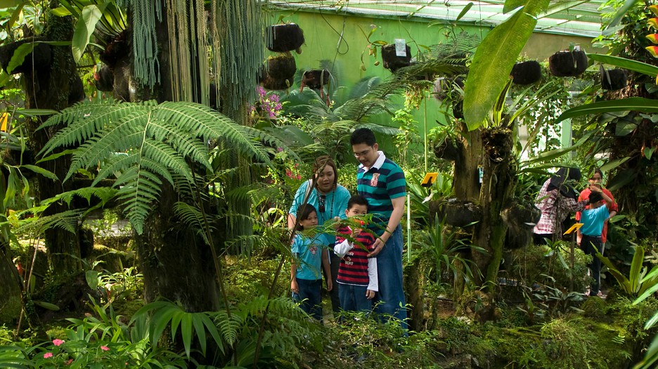 Butterfly Farm in Penang, Expedia