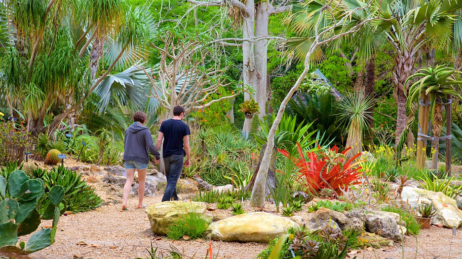Marie Selby Botanical Gardens in Sarasota, Florida Expedia
