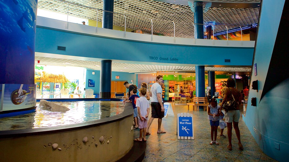 Florida Aquarium in Tampa, Florida Expedia
