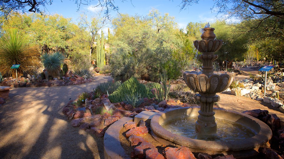 Tucson Botanical Gardens in Tucson, Arizona Expedia