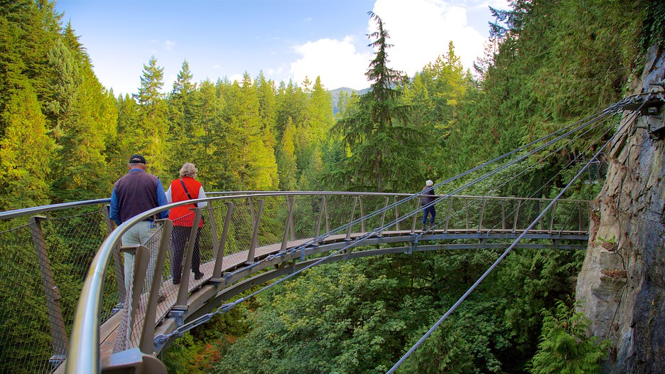 Pont suspendu Capilano Les activités à Vancouver Attractions pas