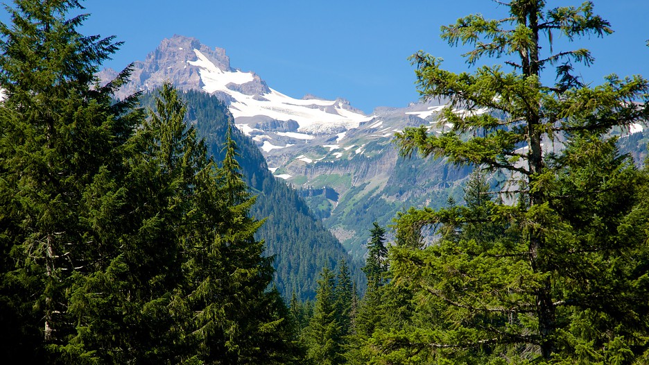 Mount Rainier National Park in Ashford, Washington Expedia