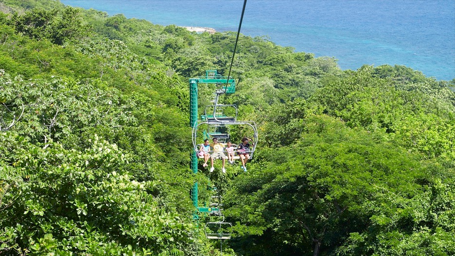 Mystic Mountain in Montego Bay, Expedia