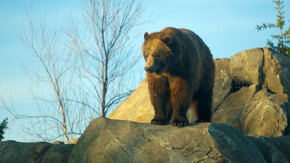 Minnesota Zoo In Apple Valley Minnesota Expedia Minnesota Zoo In Apple Valley Minnesota Expedia