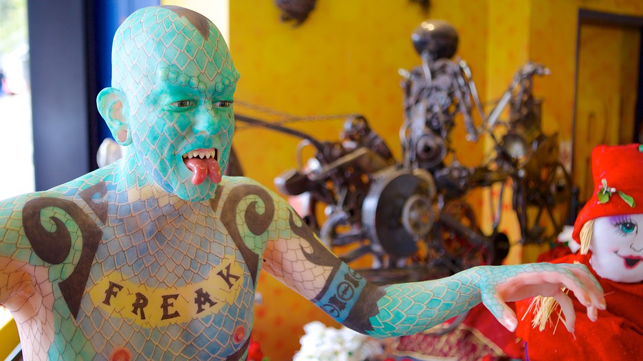 Ripley's Believe It Or Not Museum in Gatlinburg, Tennessee Expedia